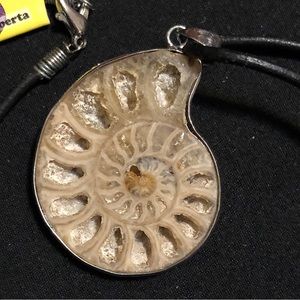NWT Ammonite Necklace Pendant